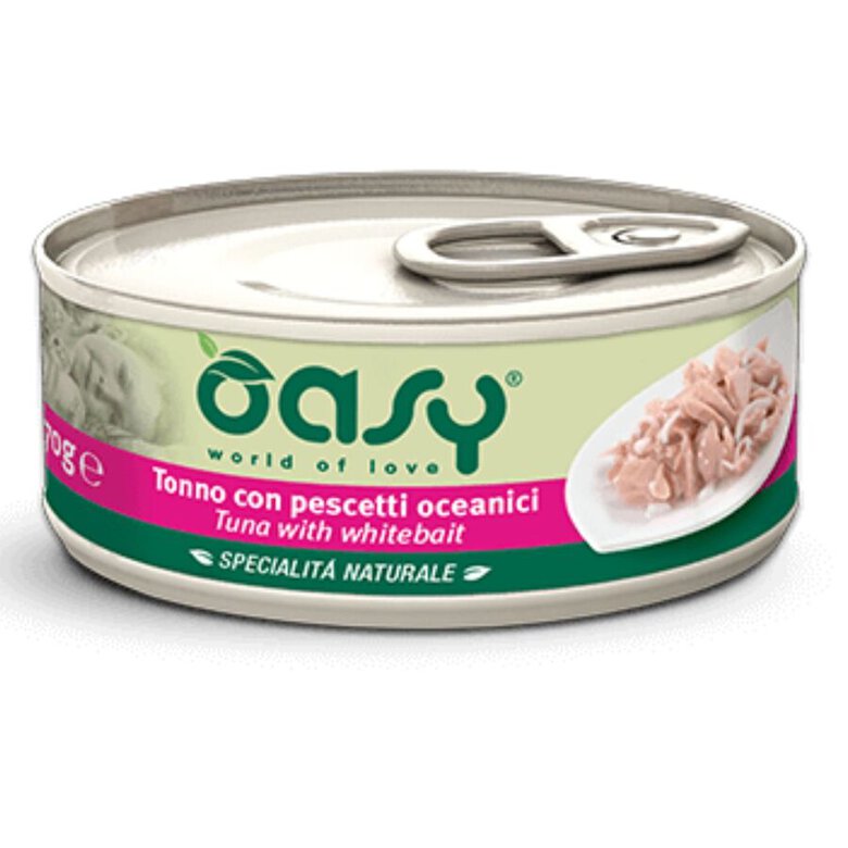 OASY GATO LATA ATUN/BOQUERON 70G, , large image number null