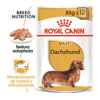 Royal Canin Adult Teckel paté en sobre para perros