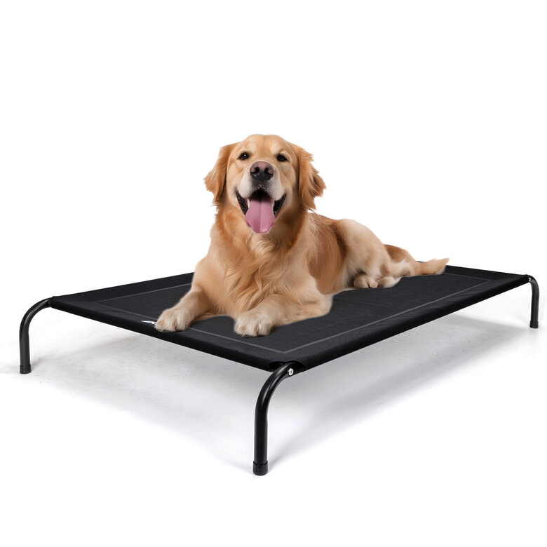 Nobleza Cama Elevada color negro para Perro Pequeño, , large image number null