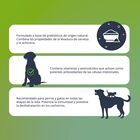 Aceite Prebiótico para Mascotas – DIGEST PREMIUM 250ml - Suplemento Nutricional de Levadura de Cerveza y Achicoria - Mejora la Salud Intestinal de Perros y Gatos – Botella con Dispensador, , large image number null