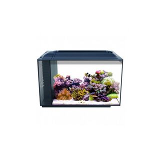 Fluval Evo Acuario Marino negro para peces