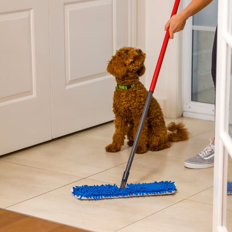 Vileda Pet Pro Flip Mop Mopa de Limpieza para perros, , large image number null