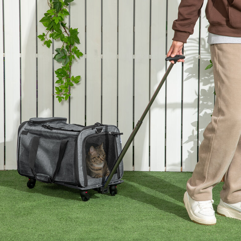 PawHut 4 en 1 Transportadora para Mascotas con Ruedas Carrito para Mascotas Bolsa de Transporte para Perros Gatos con Asa Telescópica de Aluminio 50x31x37 cm Gris, , large image number null