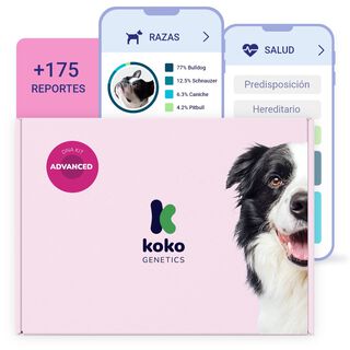 Koko Genetics Prueba De ADN Para Perros Advanced