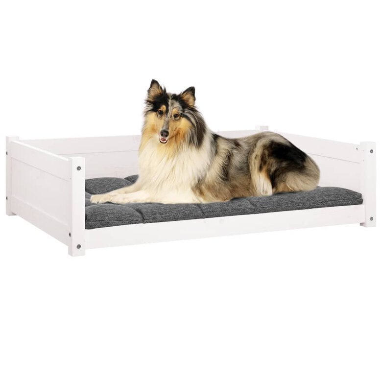 VidaXL Estructura lisa cama de madera blanca para perros, , large image number null