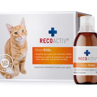 Recoactiv Tónico Riñón ara gatos con insuficiencia renal 