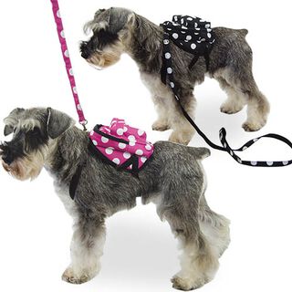 Ibañez Mochila Lunares Rosa para perros