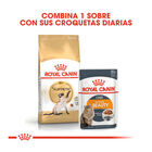 Royal Canin Adult Siamese pienso para gatos2 image number null