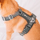 Foxys Arnés Antitirones con hebillas reforzadas negro para perros, , large image number null