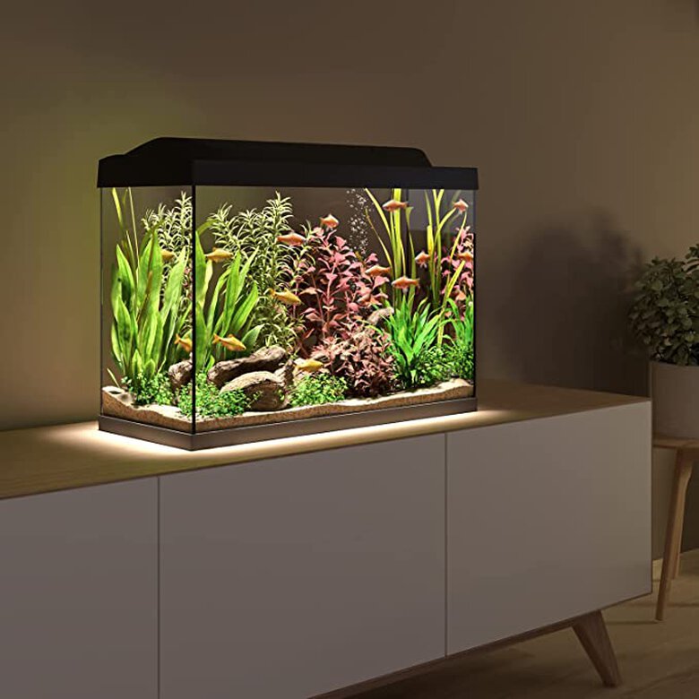 Tetra Kit acuario Starter Line LED Diurna Nocturna, , large image number null