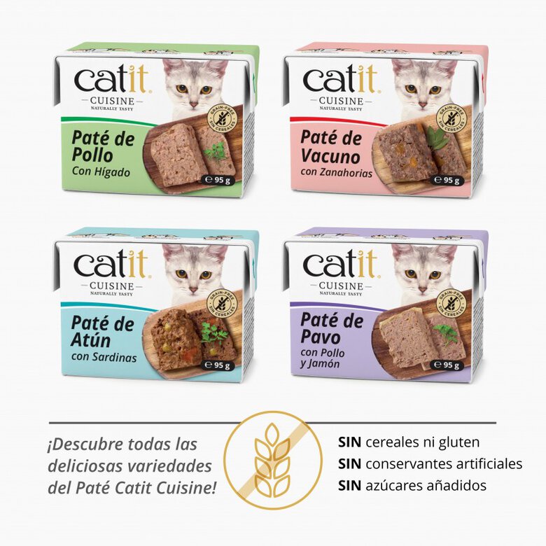 Paté para gatos Catit Cuisine, Vacuno con Zanahoria-95g, , large image number null