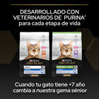 Pro Plan Adult OptiDerma Salmón pienso para gatos, , large image number null
