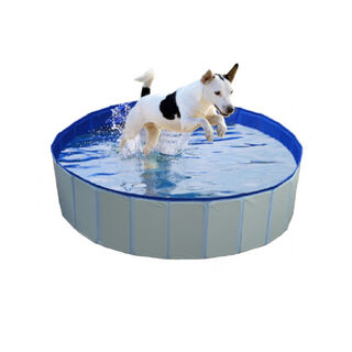 Duvo Piscina Azul para perros