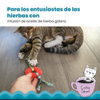 Outward Hound Catstages Kitty Chew Roja Rueda Mordedor para gatos, , large image number null