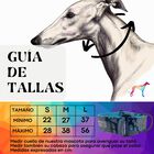 EL GALGUITO VALIENTE Collar Martingale para galgo hecho a mano en España, , large image number null