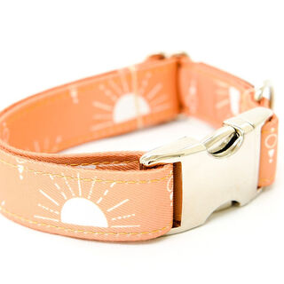 Pets & Props Sunny Days Collar para perros