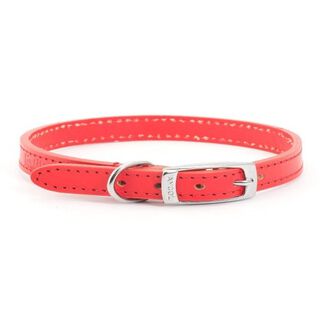 Ancol Collar de Cuero Rojo para perros