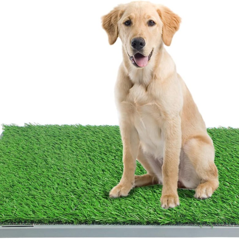 EMPAPADOR REUTILIZABLE ALFOMBRA ENTRENAMIENTO PIPI PARA PERRO CÉSPED ARTIFICIAL PETPLUS, , large image number null