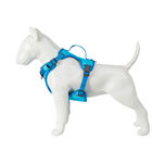 Freedog Cool Pro Tech Arnés Refrescante Azul para perros, , large image number null