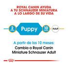 Royal Canin Puppy Miniature Schnauzer pienso para perros, , large image number null