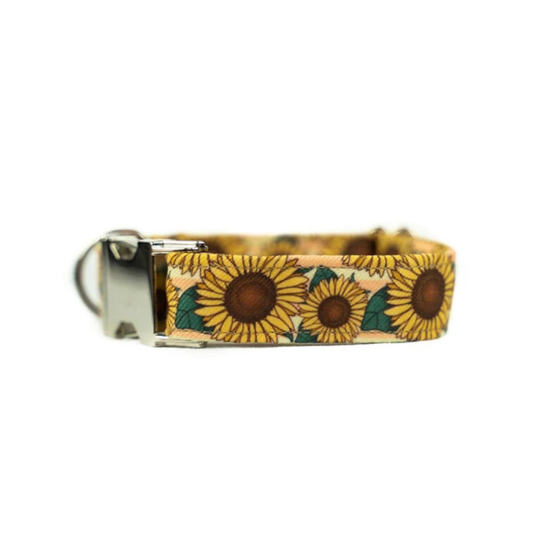 Pets & Props Collar Sunflower para perro, , large image number null