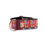 Pampy Speedy Regulable Collar Galgo Chocolatinas para perros, , large image number null