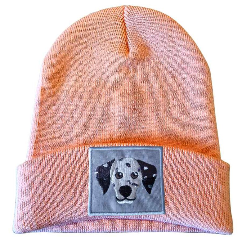 GORRO PERRO DALMATA, , large image number null