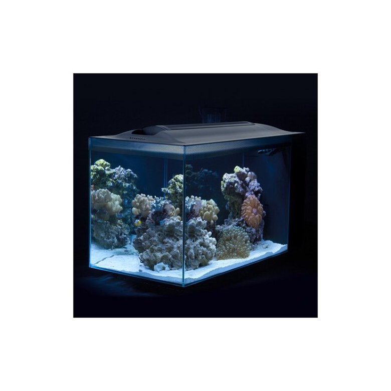 Fluval Evo Acuario Marino, Negro, 52L, , large image number null