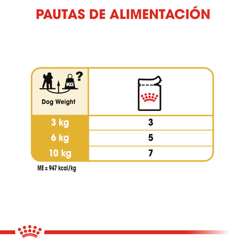 Royal Canin Adult Poodle Paté sobre para perros, , large image number null