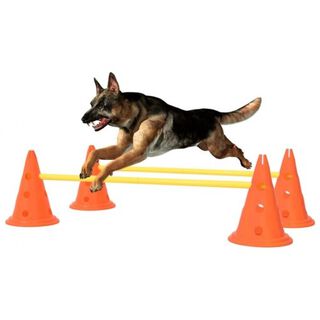 Vidaxl obstáculo de actividades naranja para perros