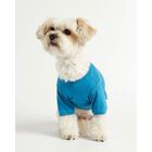 The Painter's Wife Camiseta Imi Azul para perros, , large image number null