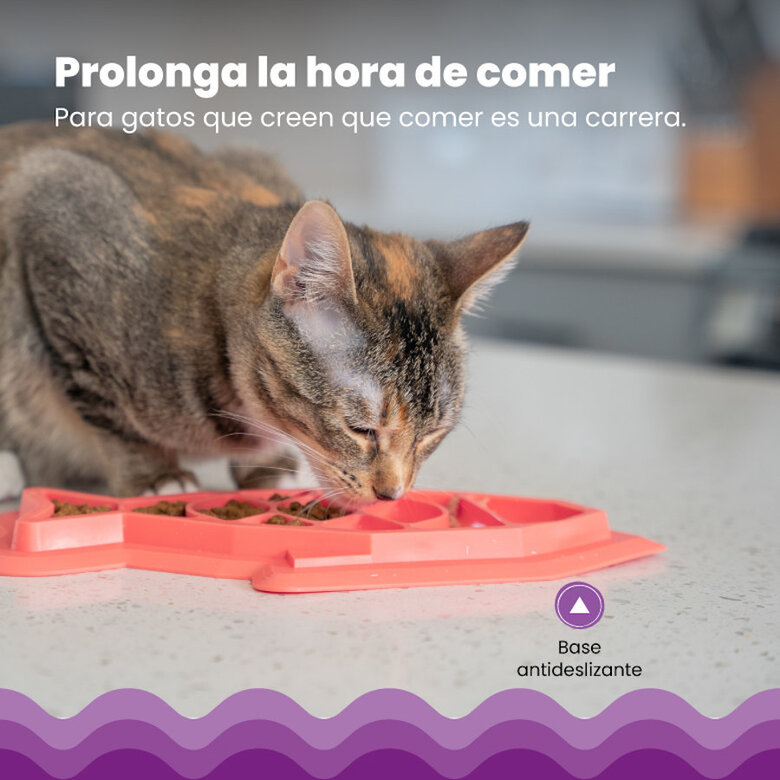 Outward Hound Catstages Fishie Fun Pez de Juguete Dispensador de Comida para gatos, , large image number null