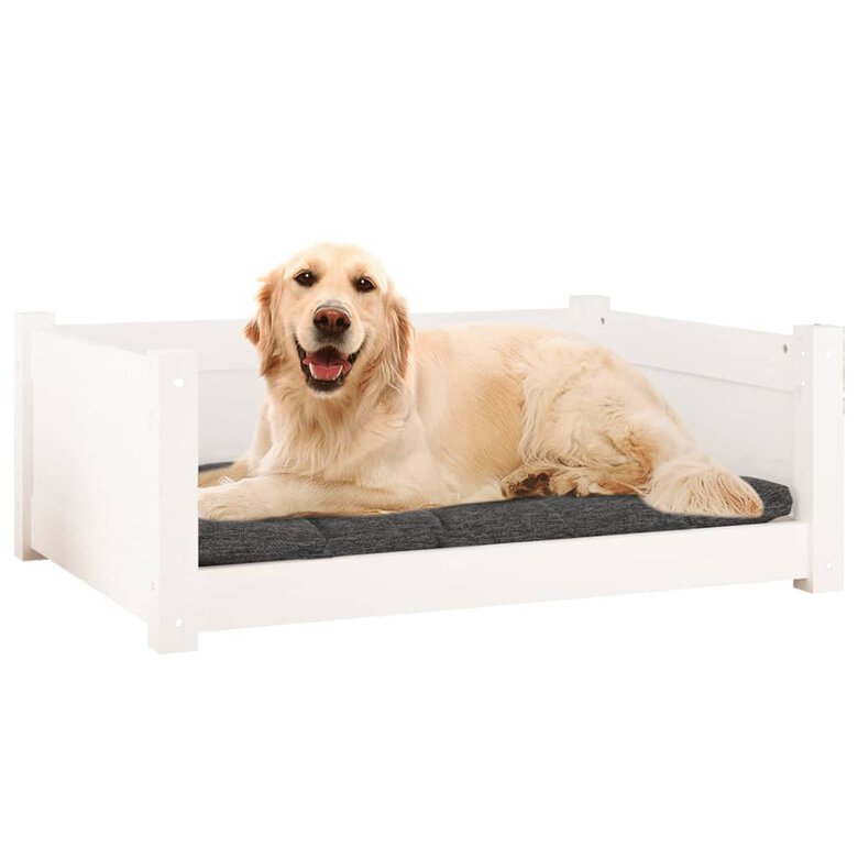 VidaXL Estructura lisa cama de madera blanca para perros, , large image number null