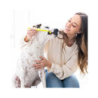 Petosan Kit Dental Pequeño para perros y gatos, , large image number null