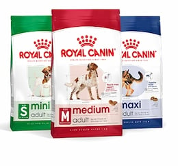 Royal Canin Perro Adulto