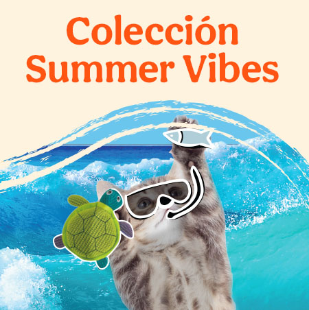 Colección Summer Vibes