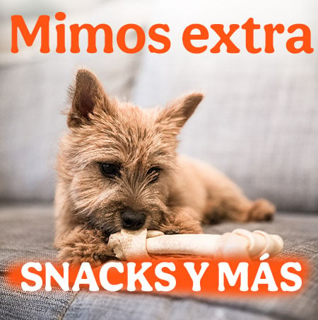 ¡Mimos extra! Con los mejores descuentos en snacks