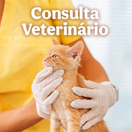 Clinicas veterinarias