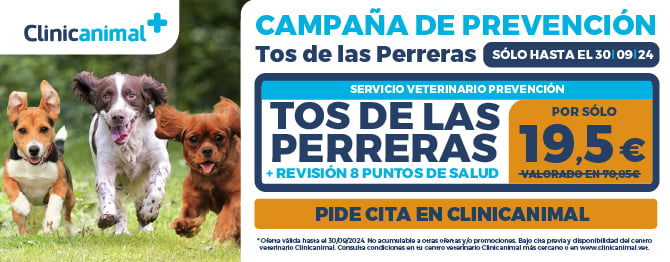 Campaña de prevención de tos en las perreras