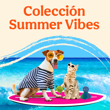 Colección Summer Vibes