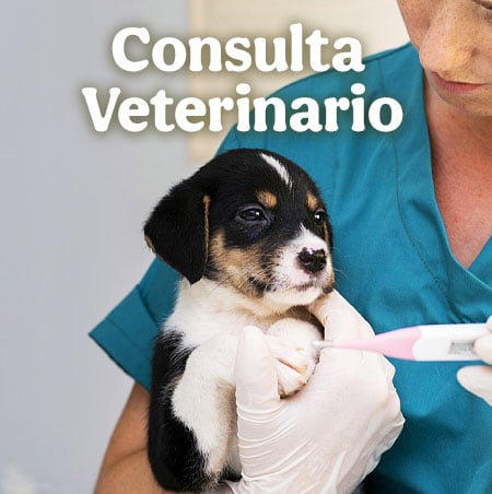 Clinicas veterinarias