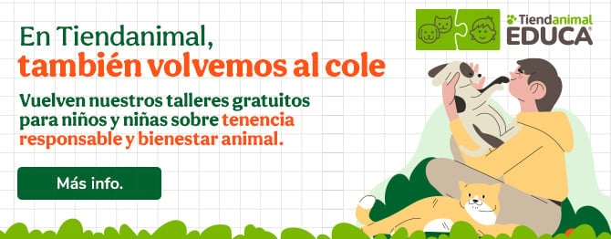 Vuelven los talleres gratuitos sobre tendencia responsable y bienestar animal