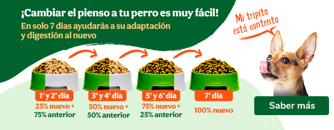 ALPHA SPIRIT Pienso Grain Free Multiprotein The Only One Saco 3 Kg :  : Productos para mascotas