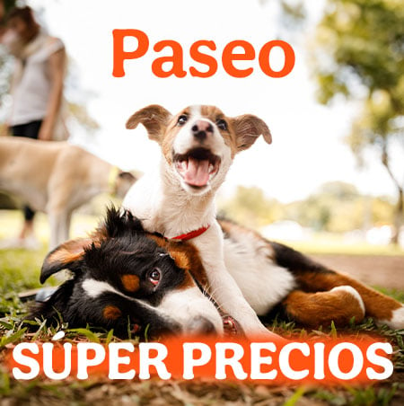 ¡Paseos con súper precios!