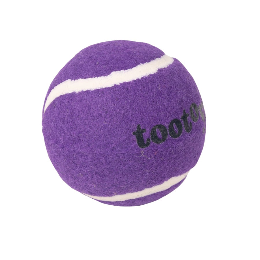 Tootoy! Chase Squeaker Ball Morada pelota de tenis para perros