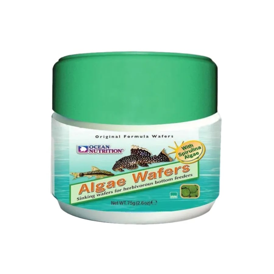 Ocean Nutrition Algae Wafers para peces de boca succionadora