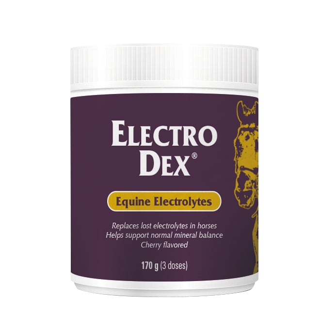 Vetnova ELECTRO DEX® Mini 170 g para caballos