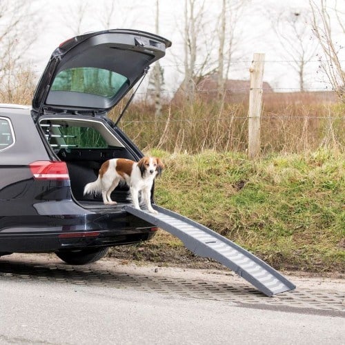 Rampa de acceso de perros para el coche color Gris