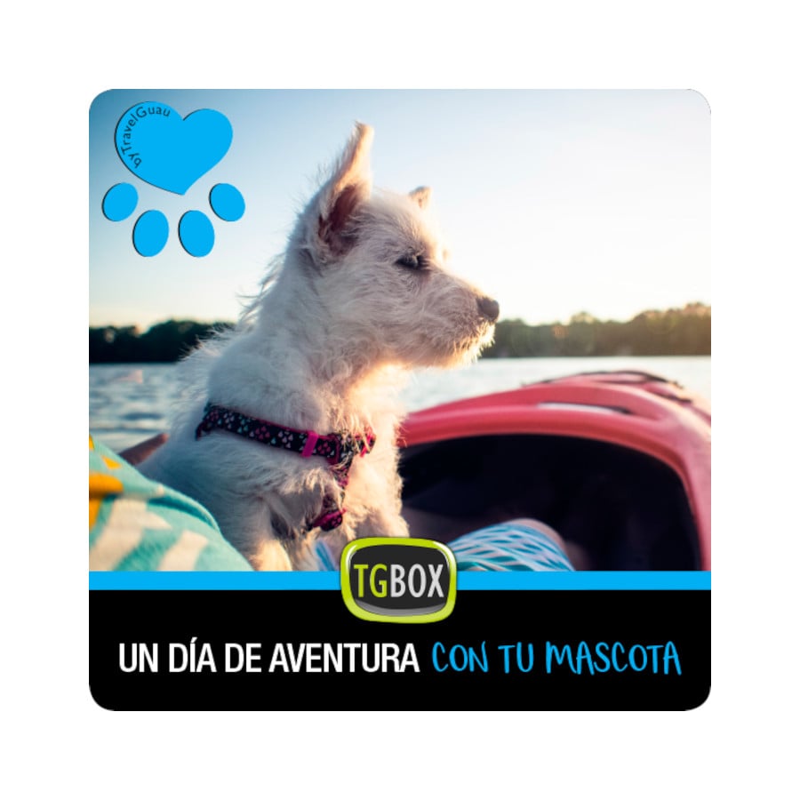 Tgbox Un día de aventura con tu mascota