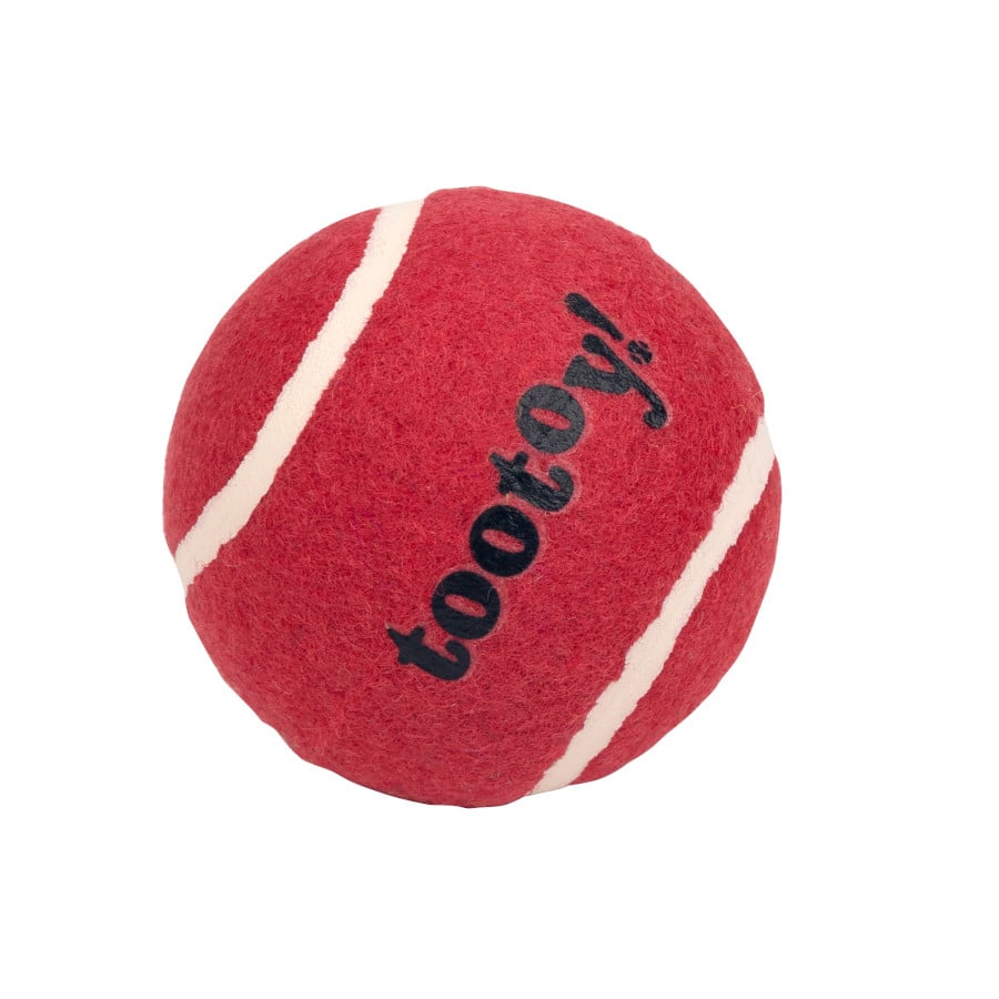 Tootoy! Chase Squeaker Ball Roja pelota de tenis para perros